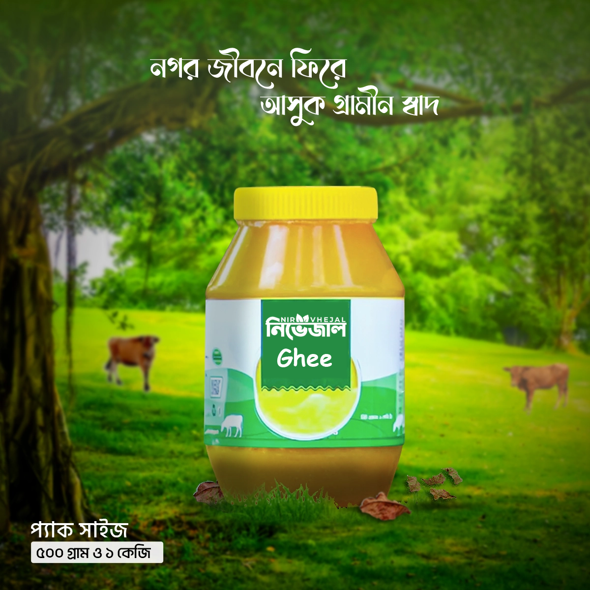 gawa-ghee পাবনার দানাদার গাওয়া ঘি-Ghee - Image 1