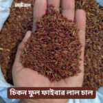 Ganjia Rice Full Fiber (ঢেঁকি ছাঁটা চিকন গান্জিয়া ধানের লাল চাল ফুল ফাইবার) - Image 2