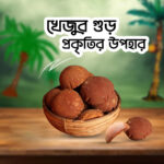 শীতের ঐতিহ্য খেজুরের গুড় । পাটালী গুড় - Image 2